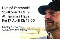 Mats Westling home concert 2
