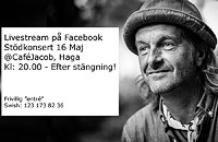 Mats Westling home concert 3