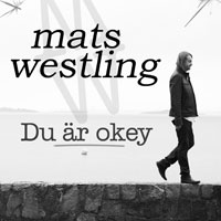 Du är ok